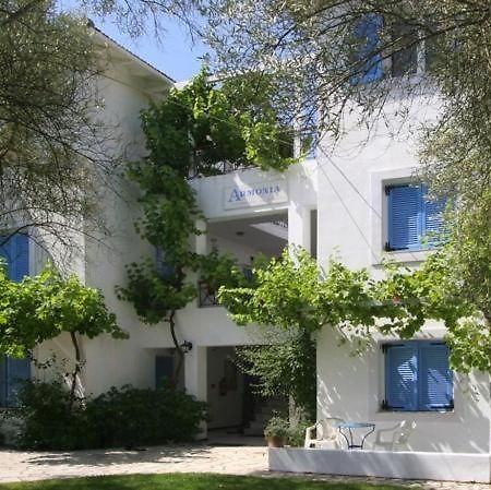 ואסיליקי Armonia Apartments מראה חיצוני תמונה