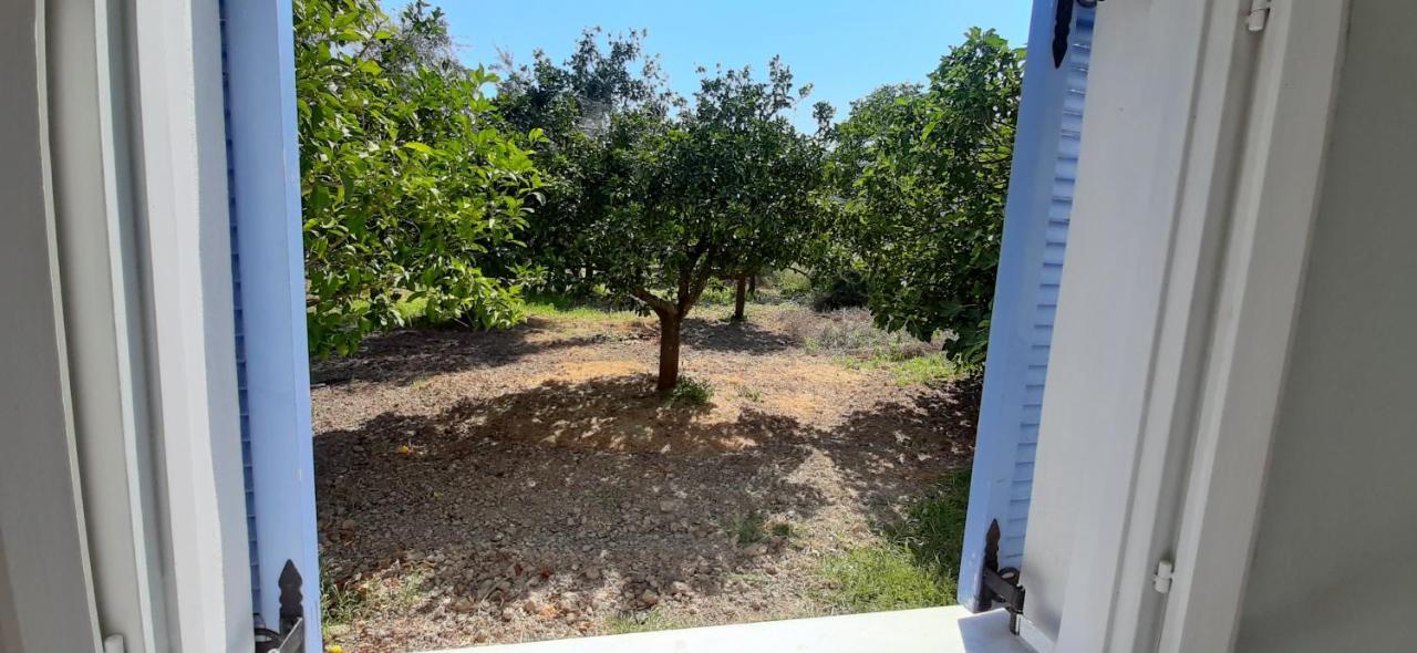 ואסיליקי Armonia Apartments מראה חיצוני תמונה